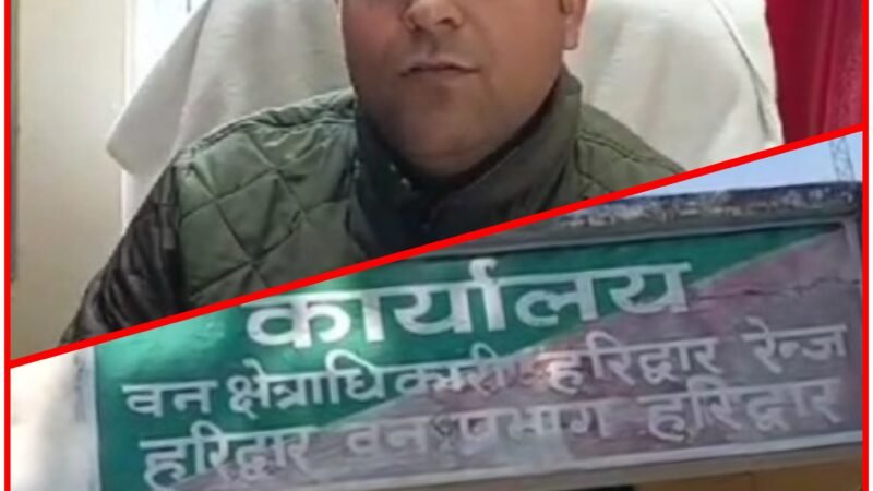 मधुमक्खियां रोकेंगी जंगली हाथियों का रास्ता, जानिए क्या है वन विभाग की योजना
