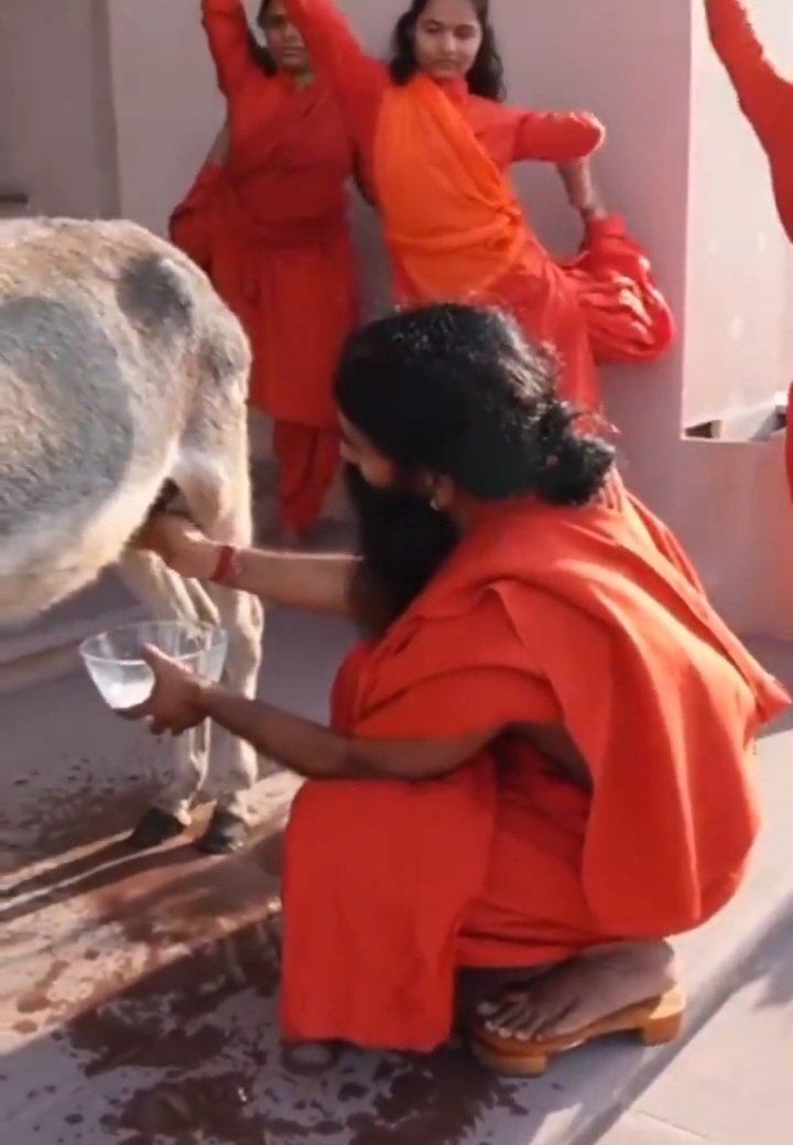 वीडियो : रामदेव ने निकाला गधी का दूध, पीकर बोले ‘very testy’