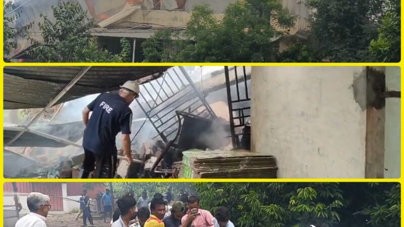 दर्दनाक: पटाखा फैक्ट्री में हुआ धमाका, आग में झुलसकर 1 मजदूर और 5 मवेशी मरे