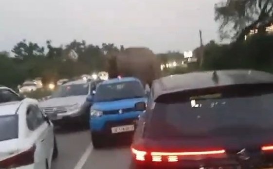 ट्रैफिक जाम में फंसे गजराज, बमुश्किल वनकर्मियों ने निकाला, देखिए वीडियो