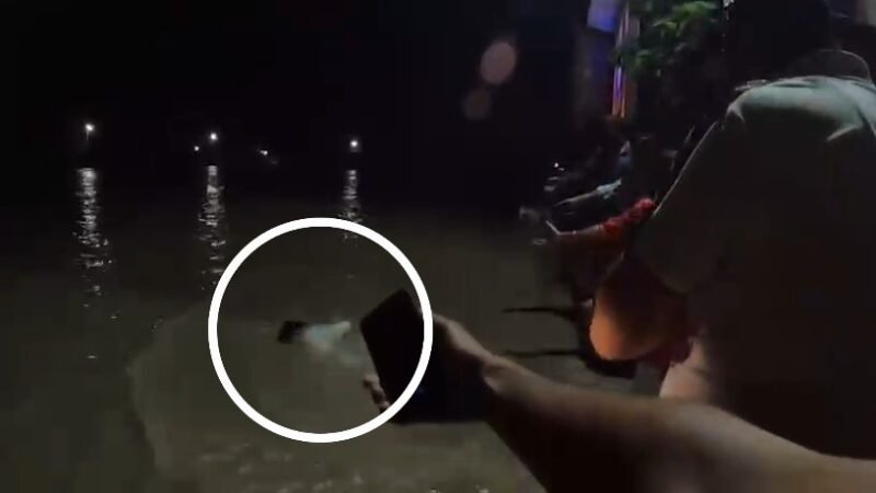 गणपति विसर्जन के लिए घाट पर गया था युवक, गंगा में डूबकर हुआ लापता, तलाश जारी