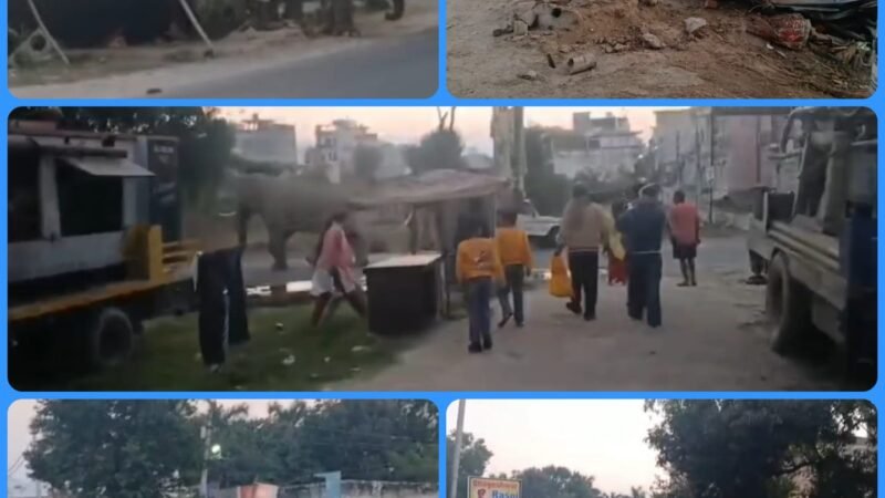 जंगली हाथियों ने जमकर मचाया उत्पात, दुकान का छप्पर तोड़ा बस घेरी, लोगों में मच गई अफरा तफरी