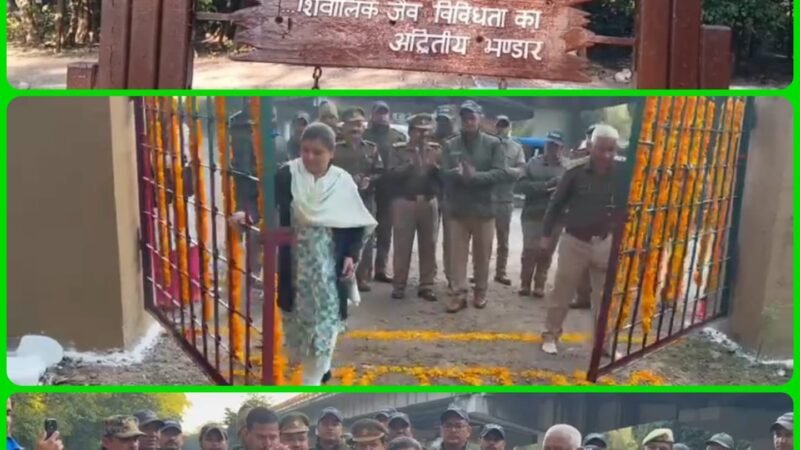 राजाजी टाइगर रिजर्व में जंगल सफारी शुरू, पार्क के गेट सैलानियों ने लिए खोले गए