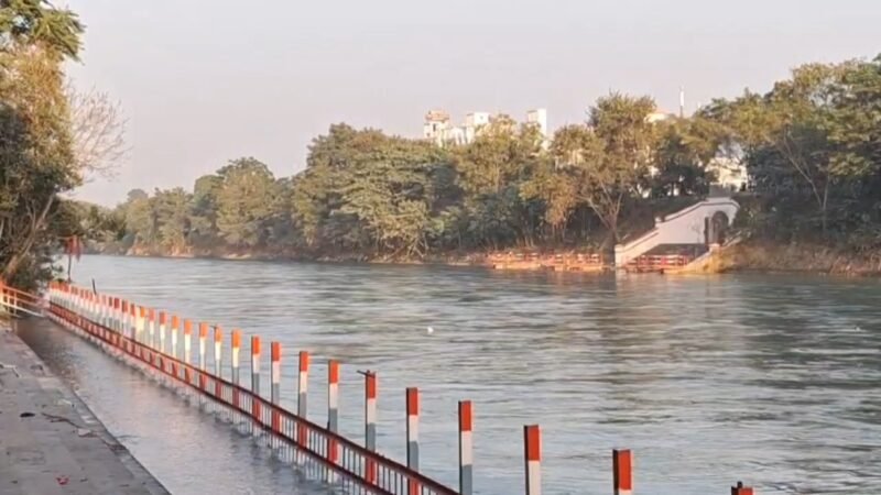 घाट निर्माण के लिए हरे-भरे पेड़ों पर चल सकती है आरी, पर्यावरण प्रेमी कर रहे विरोध