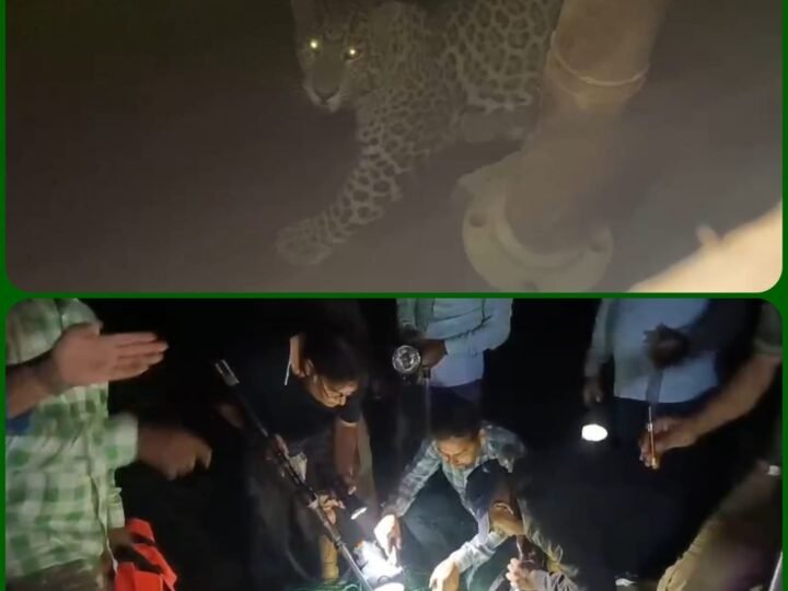 बोरवेल के गड्ढे में गिरा गुलदार, बमुश्किल हो पाया रेस्क्यू