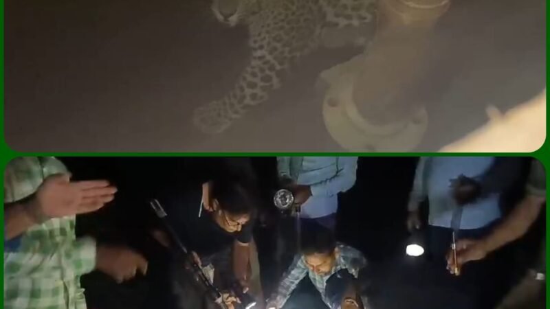 बोरवेल के गड्ढे में गिरा गुलदार, बमुश्किल हो पाया रेस्क्यू