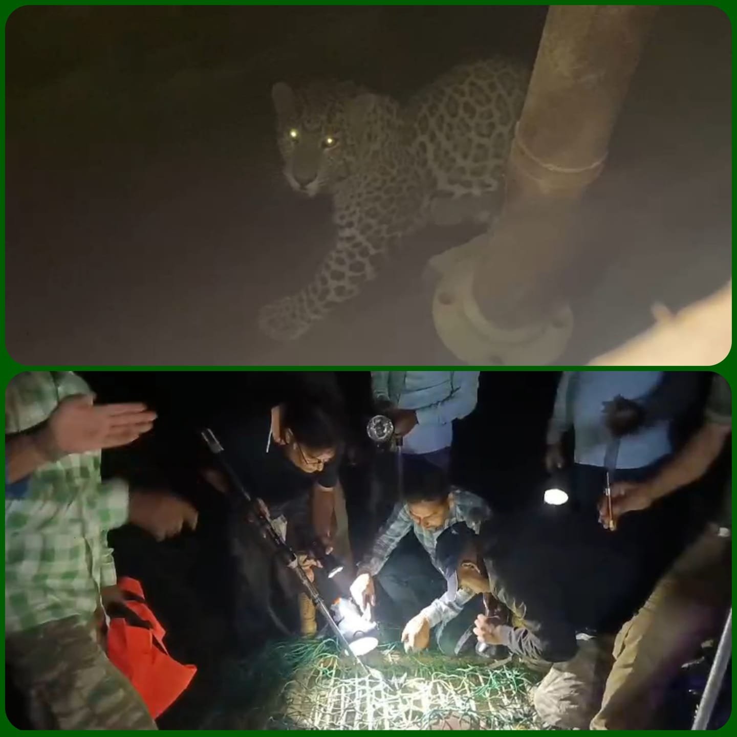 बोरवेल के गड्ढे में गिरा गुलदार, बमुश्किल हो पाया रेस्क्यू