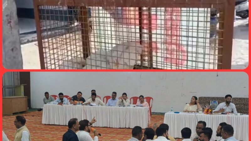 हरिद्वार में नगर निगम क्षेत्र से बाहर होंगी मीट की दुकानें, प्रस्ताव पास