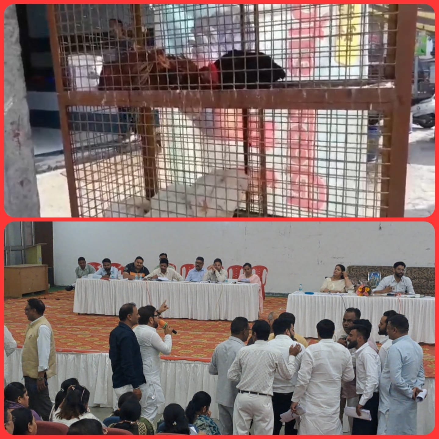 हरिद्वार में नगर निगम क्षेत्र से बाहर होंगी मीट की दुकानें, प्रस्ताव पास