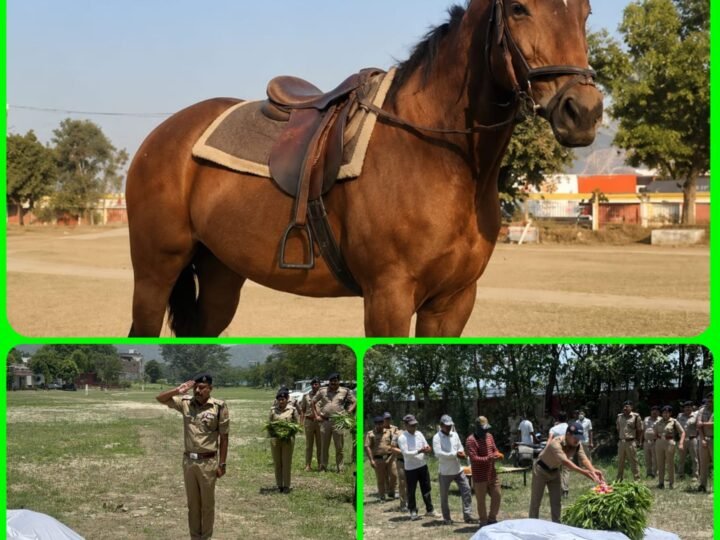 हरिद्वार पुलिस की घोड़ी की बीमारी से मौत, राजकीय सम्मान से हुआ अंतिम संस्कार