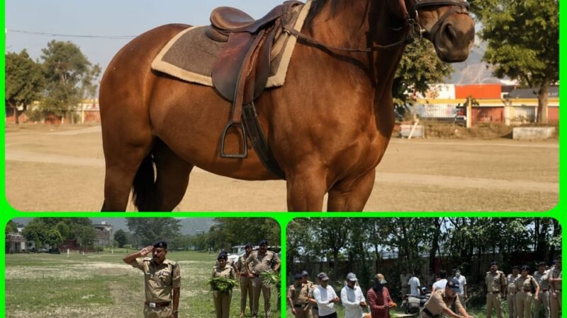 हरिद्वार पुलिस की घोड़ी की बीमारी से मौत, राजकीय सम्मान से हुआ अंतिम संस्कार