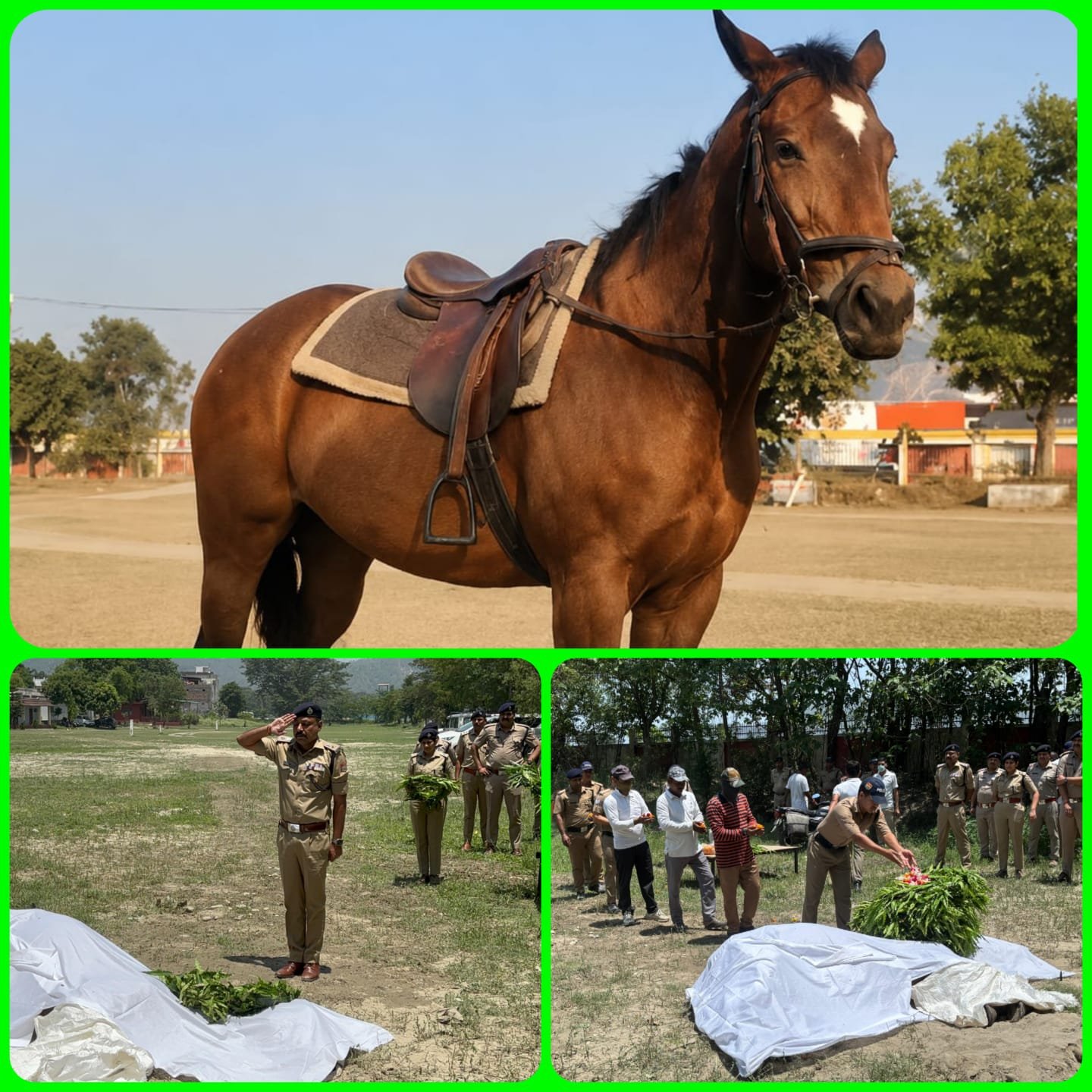 हरिद्वार पुलिस की घोड़ी की बीमारी से मौत, राजकीय सम्मान से हुआ अंतिम संस्कार