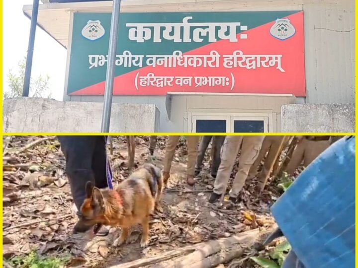 बाघ शिकार मामला: जहर की शीशी और कुल्हाड़ी की बरामद, हमजा की रिमांड का इंतजार