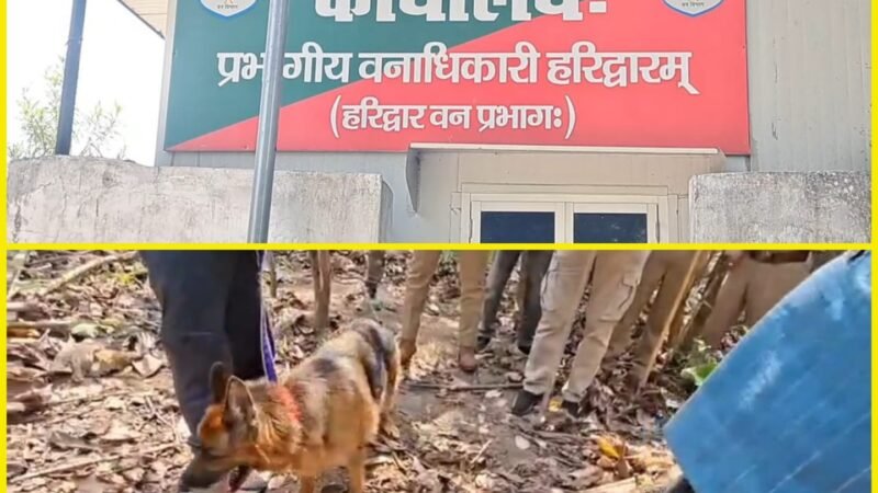 बाघ शिकार मामला: जहर की शीशी और कुल्हाड़ी की बरामद, हमजा की रिमांड का इंतजार