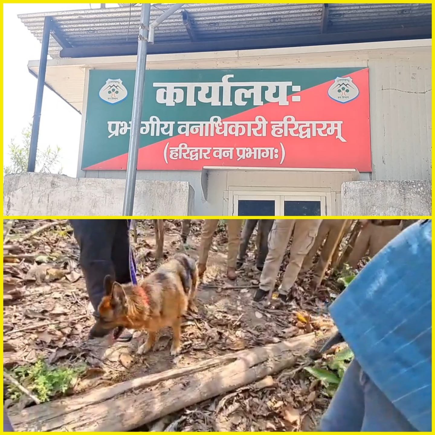 बाघ शिकार मामला: जहर की शीशी और कुल्हाड़ी की बरामद, हमजा की रिमांड का इंतजार
