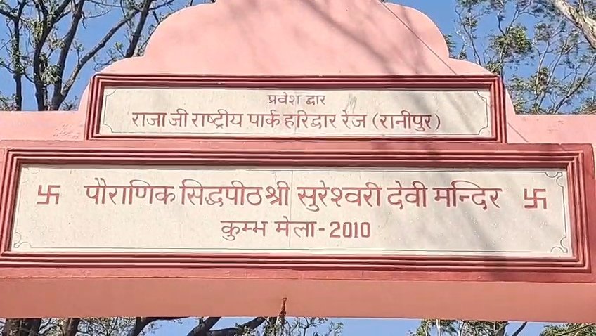 राजाजी टाइगर रिजर्व में लापरवाही पर गिरी गाज दो फॉरेस्ट गार्ड सस्पेंड, रेंजर को भी हटाया