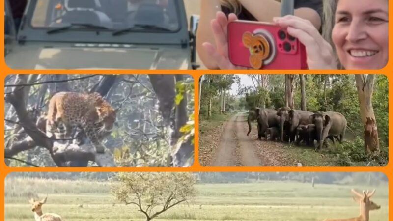 जंगल सफारी के शौकीनों का नया केंद्र झिलमिल झील, इस साल पहुंचे रिकॉर्ड सैलानी