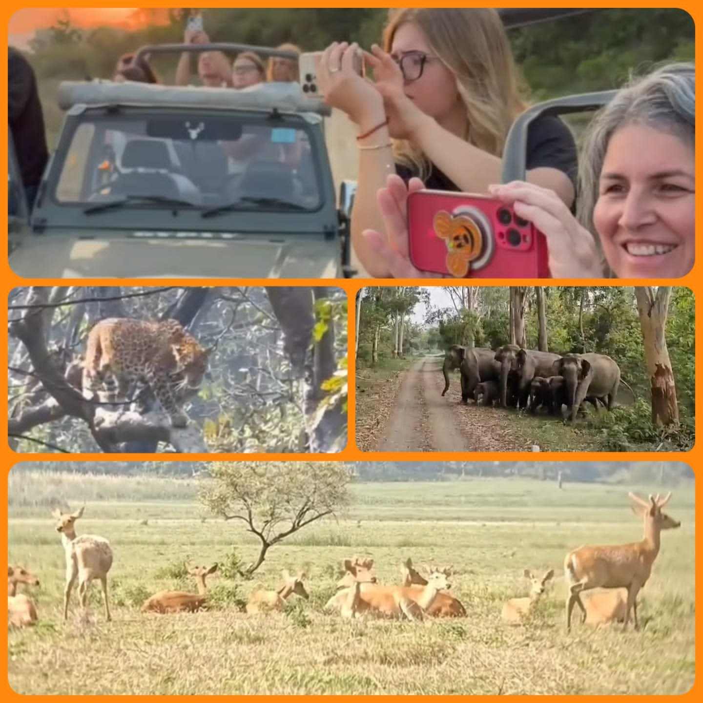 जंगल सफारी के शौकीनों का नया केंद्र झिलमिल झील, इस साल पहुंचे रिकॉर्ड सैलानी