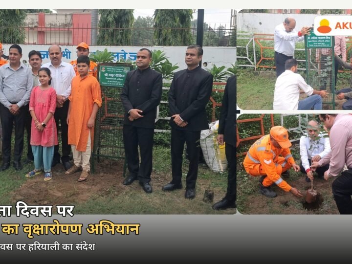 स्वतंत्रता दिवस पर एकम्स का वृक्षारोपण अभियान, डीएम मयूर दीक्षित ने लगाए पौधे